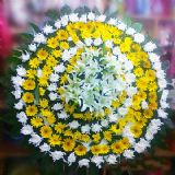 虹口开业花篮